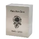 Pristine Stainless Cube Adult Urn