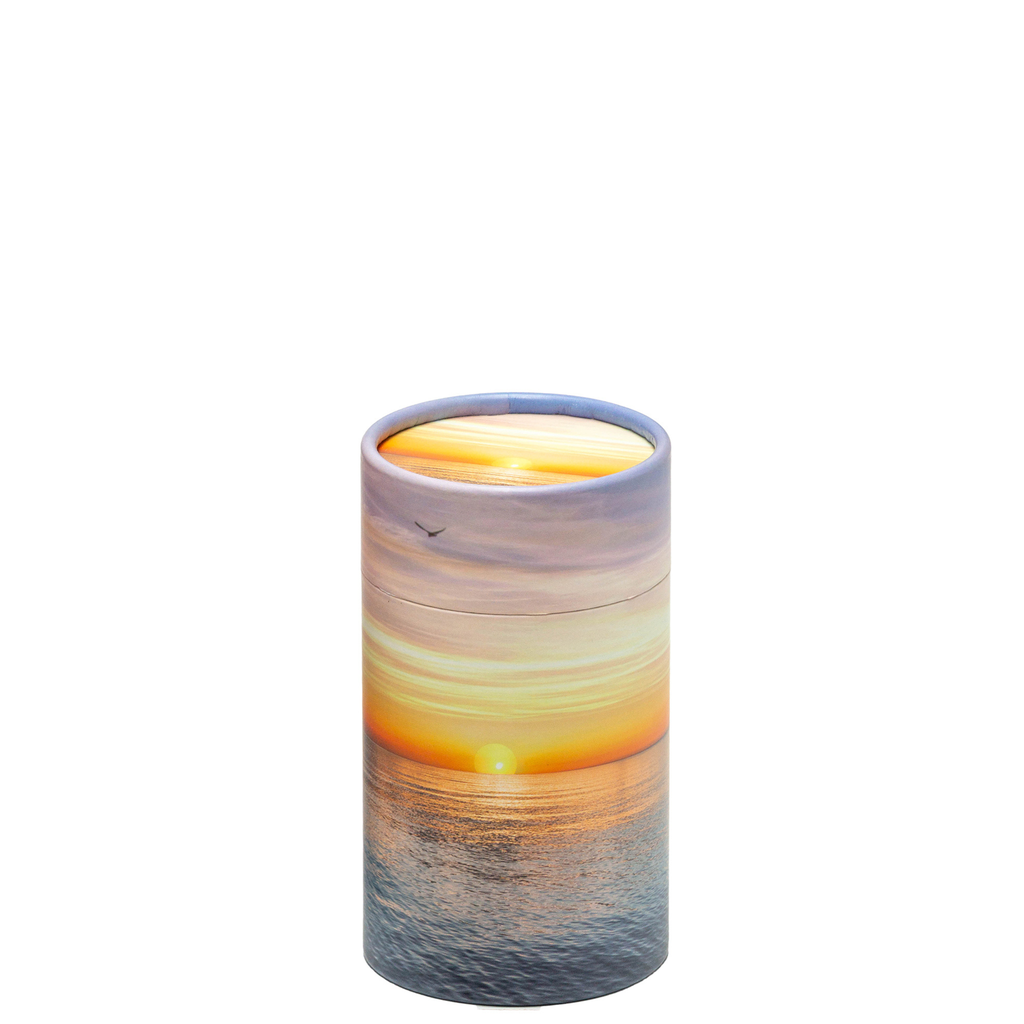 Miniature Ocean Scattering Tube