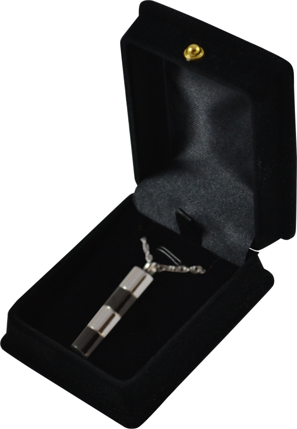 Silver and Black Capsule Pendant